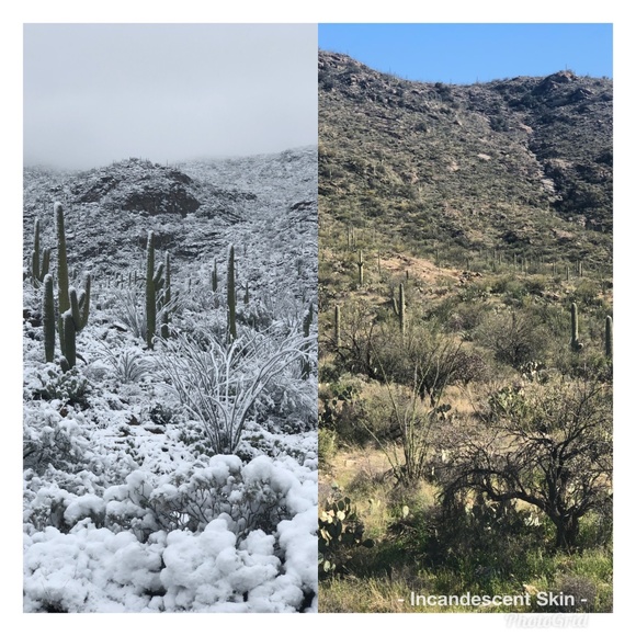 Meet your Posher, Alissa - Picture 2 of 2